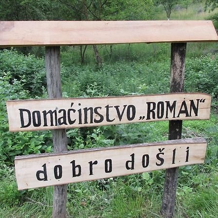 Country House Roman Doboj Extérieur photo