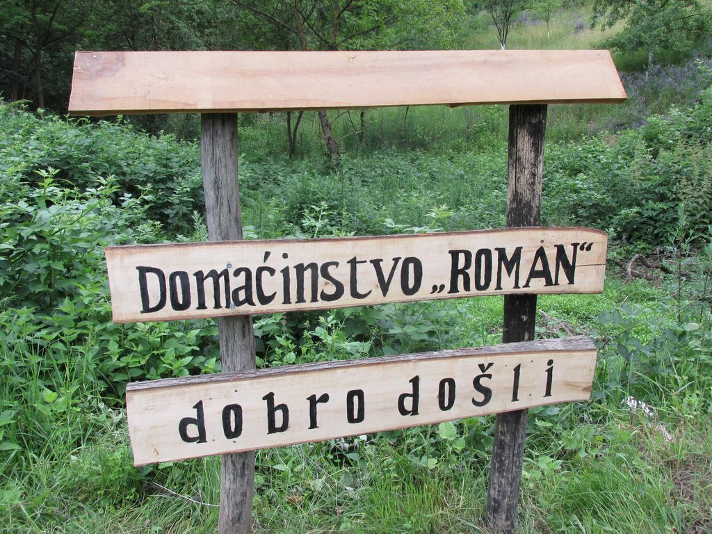 Country House Roman Doboj Extérieur photo