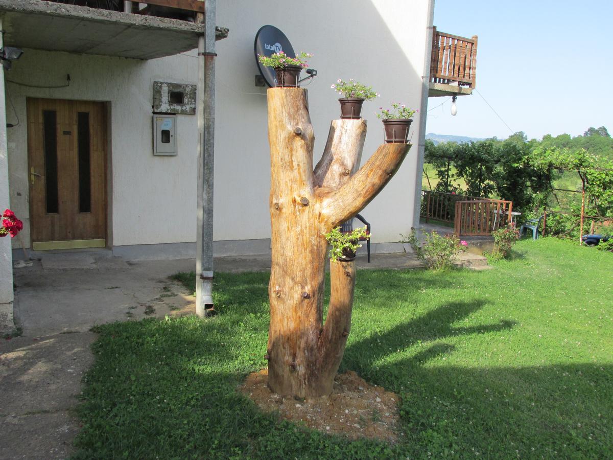 Country House Roman Doboj Extérieur photo